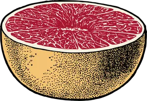 Vector image of red grapefruit cut in half