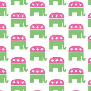 Republican party pattern