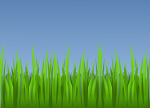 Dessin vectoriel de l’herbe verte