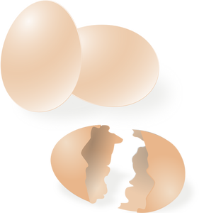 Disegno vettoriale di uovo rotto e intero guscio