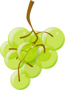 Grafica vettoriale di uva verde semitrasparente