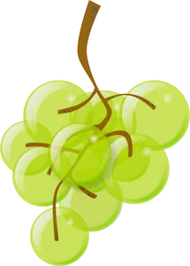 Vektorigrafiikka puoli läpinäkyviä vihreitä viinirypäleitä