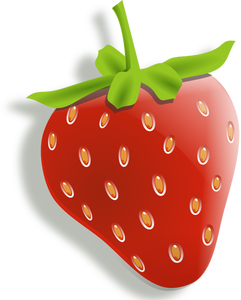 Vector image of shaded strawberry