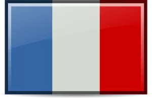 Flaga Francji obrazu