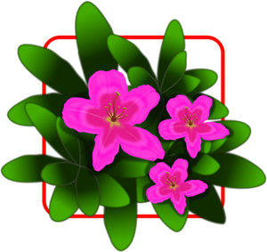 Roze azalea vector tekening