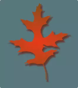 Oak Leaf vector