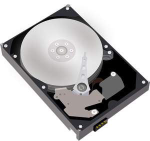 Hard disk vector rimage