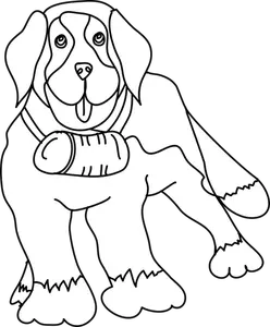 Saint Bernard Hund Bild