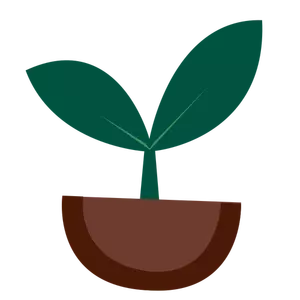 Vector image of small green plant sprouts from the ground