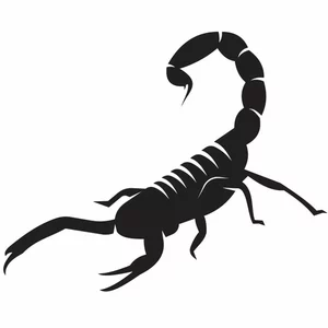 Arte del tatuaje de la silueta del escorpión