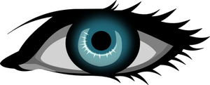 Blauwe vrouwelijke oog vector tekening