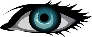 Dibujo vectorial de ojo azul hembra