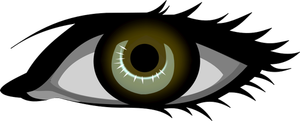 Vector de la imagen ojo marrón