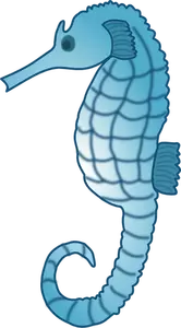 Seahorse vector image