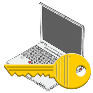 Access icon vector graphics