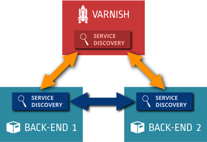 Varnish with service discovery diagram vector graphics