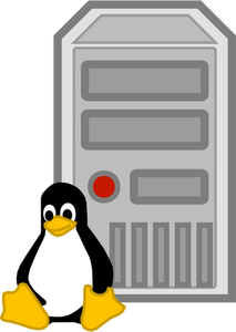 Color vector image of Linux server