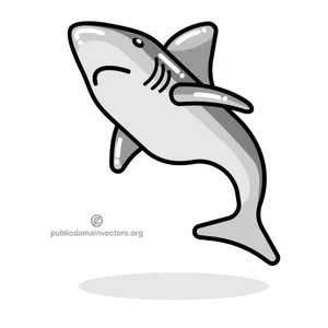 Shark vector image