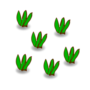 Leaves of grass vector drawing