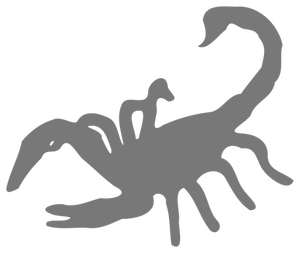 Scorpion silhuett bilde