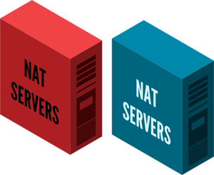 NAT server vector image