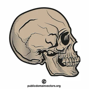 Skull profile vector