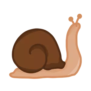Caracol simples