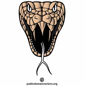 Kobra yılan kafası