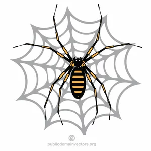 Edderkopp web insekt