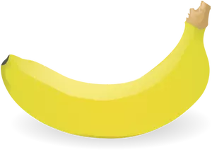 Vector de la imagen fotorrealista plátano individual