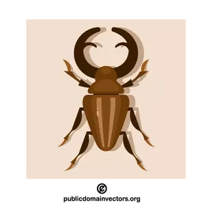Stag beetle insect