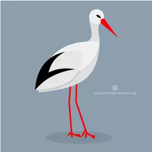 Hvit stork