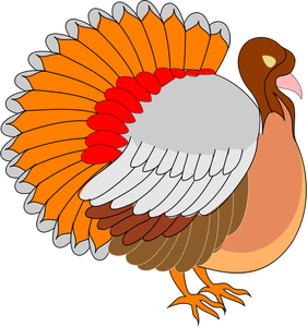 Turkey vector image