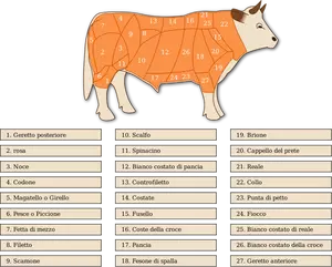 Vektor-Bild von Rindfleisch schneidet Diagramm