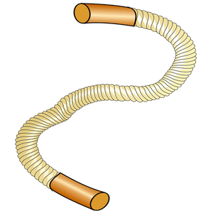 Thick sports rope vector image