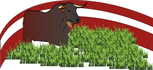 Grafica vettoriale di toro al pascolo di erba