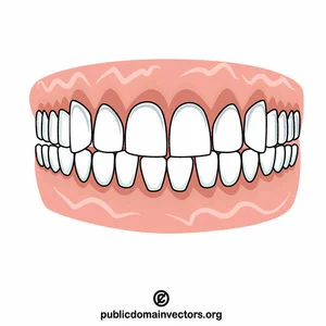 Weiße Zähne schwarz / weiß-Bild