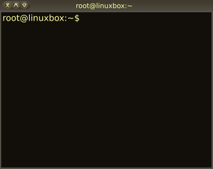 Linux shell terminalvindu vektorgrafikk utklipp