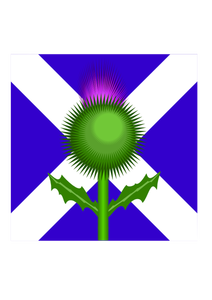 Scottish thistle e bandiera di immagine vettoriale