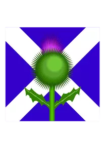 Skotský bodlák a vlajka vektorový obrázek