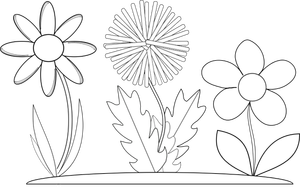Vector graphics of three coloring book flowers