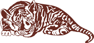 A tiger cub