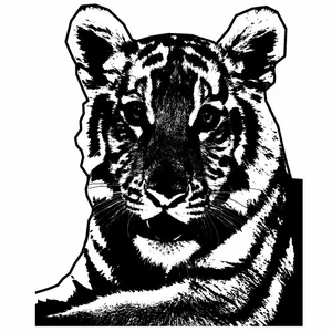 Zwart-wit beeld voor tiger