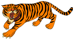 Attacking tiger