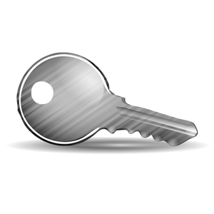 Blanka dörr nyckel vektor illustration