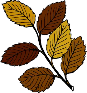 Las hojas de otoño en imagen vectorial de rama
