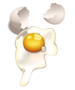 Broken egg vector illustration