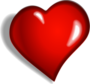 Heart vector image