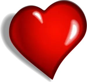 Heart vector image