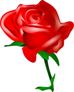 Imagen vectorial rosa roja